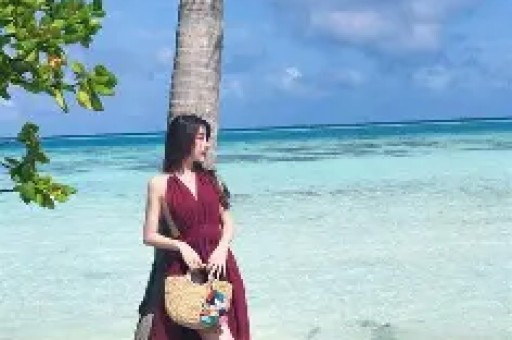 河南公安国安律师